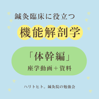鍼灸臨床に役立つ機能解剖学【体幹編】座学動画＋資料