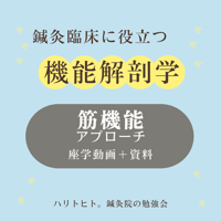 鍼灸臨床に役立つ機能解剖学【筋機能アプローチ】座学動画＋資料