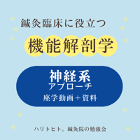 鍼灸臨床に役立つ機能解剖学【神経系アプローチ】座学動画＋資料