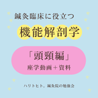 鍼灸臨床に役立つ機能解剖学【頭頸編】座学動画＋資料