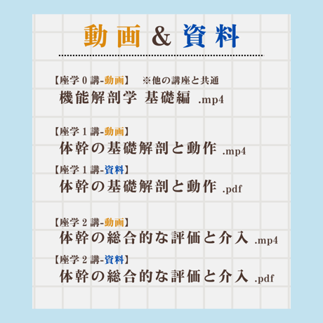 鍼灸臨床に役立つ機能解剖学【体幹編】座学動画＋資料
