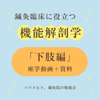 鍼灸臨床に役立つ機能解剖学【下肢編】座学動画＋資料