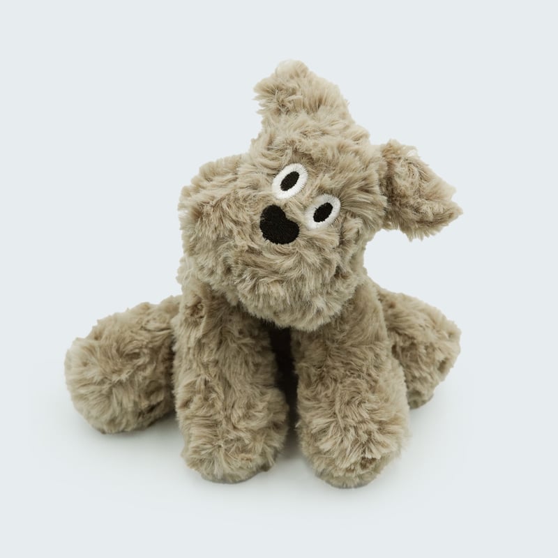 シュナウザーの仔犬　ゴトウユミコさん作品 価格の安い【動画あり！】ミニチュアシュナウザー♀ ふんわりと