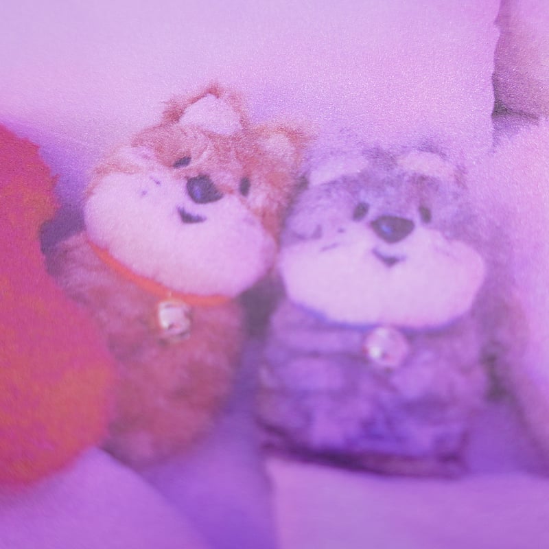 JUNK FOOD OPERA ねこッカちゃんポストカード / type-2 | LIN ga