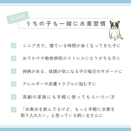 水素エアーフレアーミニ　FLAIR mini フラックス 日本製 コンパクト 持ち運びタイプ
