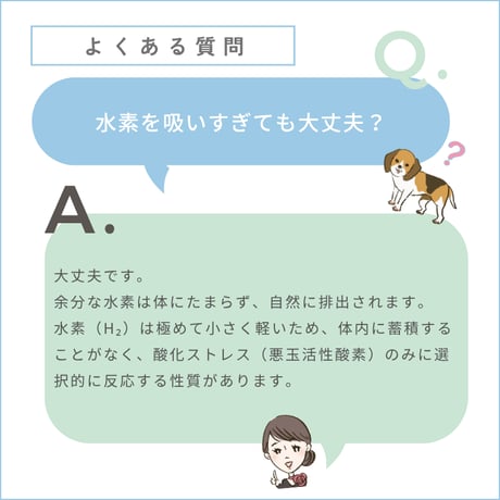 水素エアーフレアーミニ　FLAIR mini フラックス 日本製 コンパクト 持ち運びタイプ