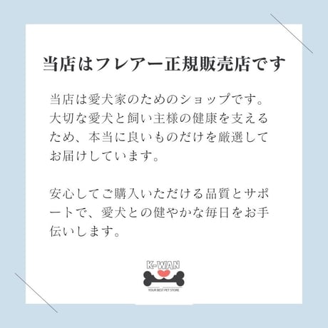 水素エアーフレアーミニ　FLAIR mini フラックス 日本製 コンパクト 持ち運びタイプ