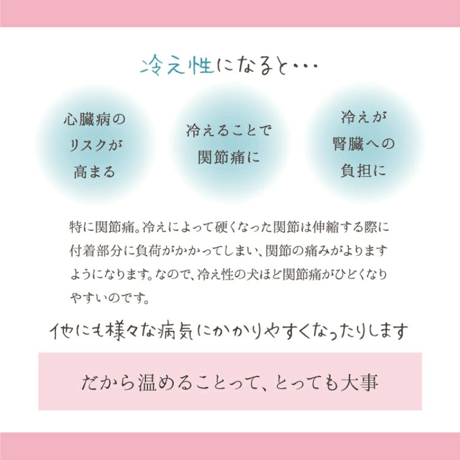 FEIL plus with pet フェールプラス 遠赤外線ドライヤー 温活