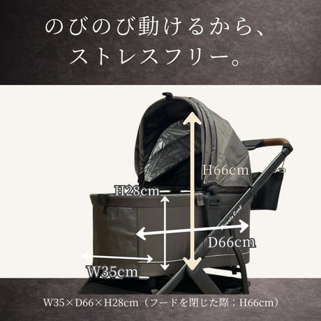 【NEW】FORTE ピッコロカーネフォルテ 耐荷重30kg 中型犬 多頭向き 広々コット