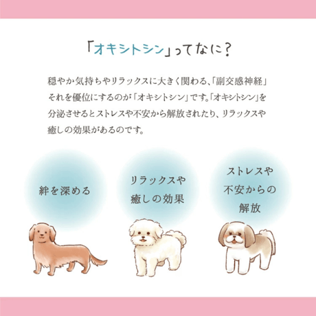 FEIL plus with pet フェールプラス 遠赤外線ドライヤー 温活