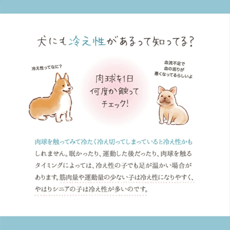 FEIL plus with pet フェールプラス 遠赤外線ドライヤー 温活