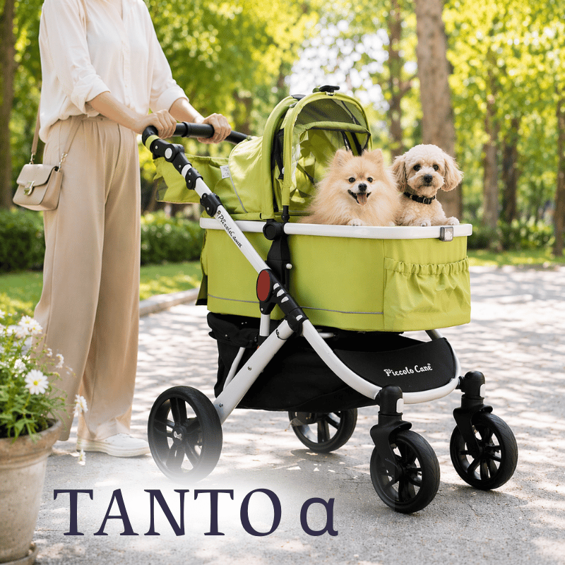Piccolo Cane TANTO α ピッコロカーネ タントアルファ | K-wan