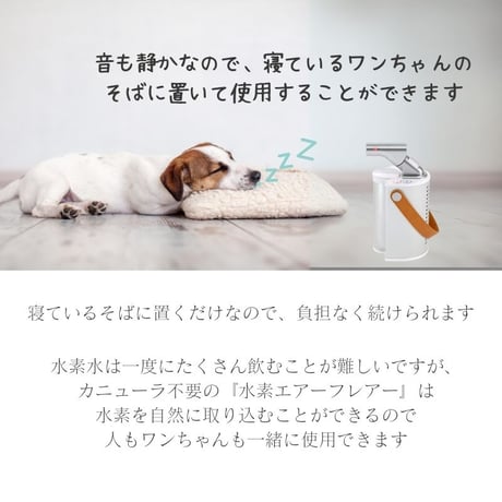 水素エアーフレアー　FLAIR