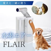 水素エアーフレアー　FLAIR