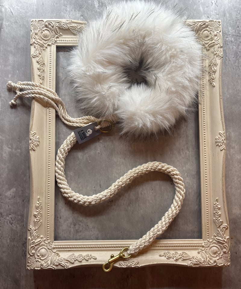 LEON DOG ACCESSORIES