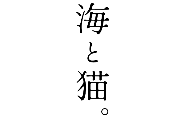 海と猫。 