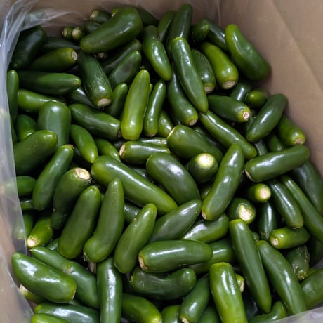 ハラペーニョ | STORES