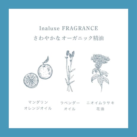 Inaluxe スキンケアラインセット（オイルクレンジング/泡洗顔/オールインワン美容ジェル）