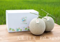 ２玉　１玉約2.3kg〜