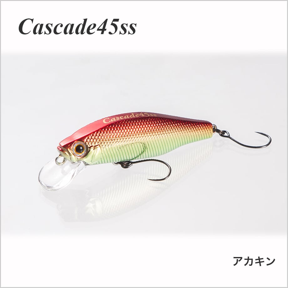 6809a064ef91a7204c998cd2