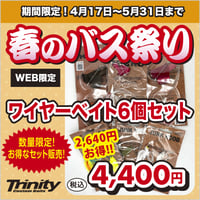 【2,640円お得!】春のバス祭りお得なワイヤーベイト6個セット