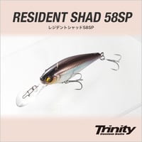 RESIDENT SHAD 58SP