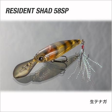 RESIDENT SHAD 58SP