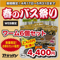 【2,420円お得!】春のバス祭りお得なワーム6個セット
