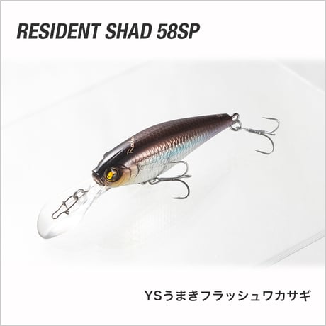 RESIDENT SHAD 58SP