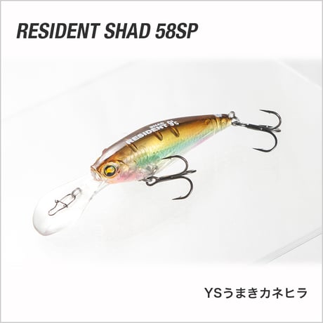 RESIDENT SHAD 58SP