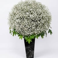 かすみ草アレンジメント