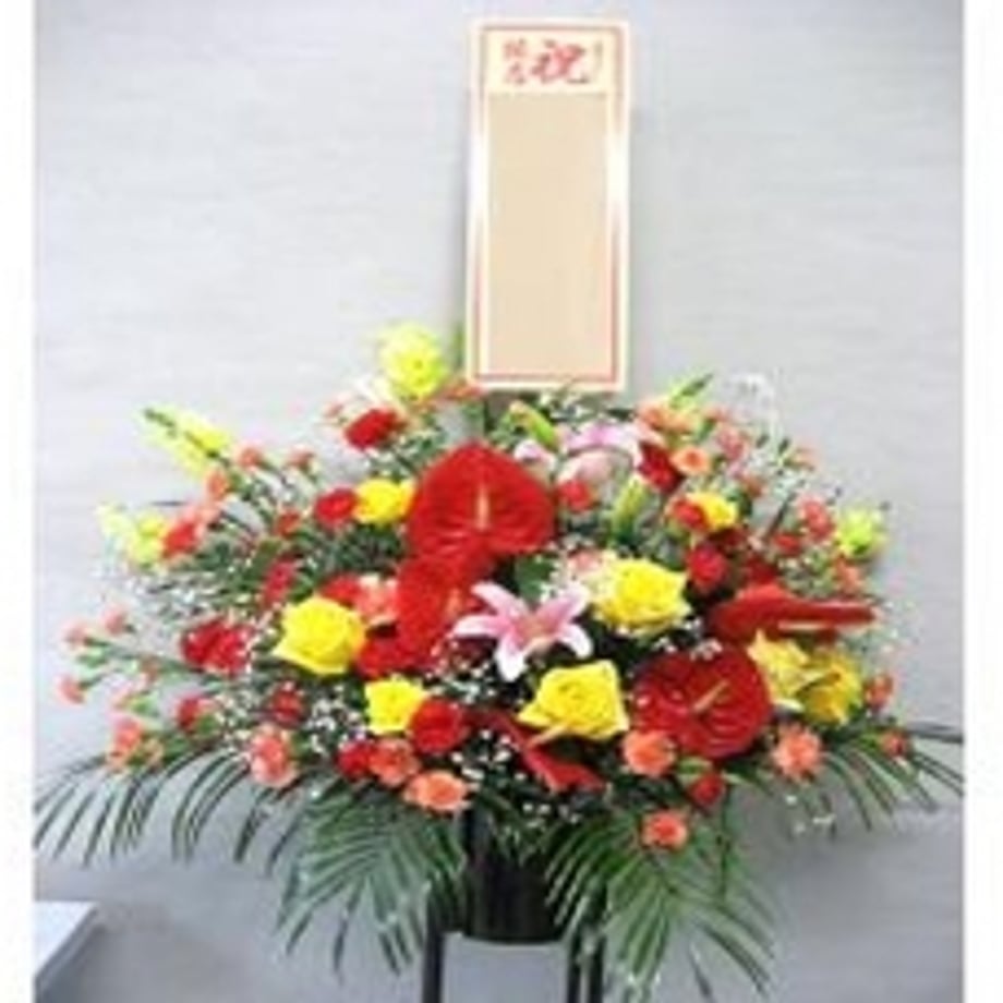 690da53c52c94a244063b38a