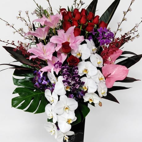BIGアレンジメント・胡蝶蘭2本入り(赤×ピンク系) | Florist Suto