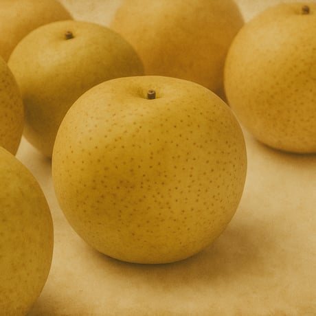 二十世紀 10kg B級品