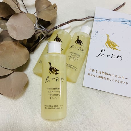 隕石 | STORES 隕石 | STORES