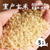 【室戸玄米５kg】西河農園のお米（2.5kg×2袋）栽培期間中農薬不使用