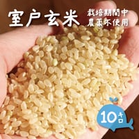 【室戸玄米10kg】西河農園のお米（2.5kg×4袋）栽培期間中農薬不使用