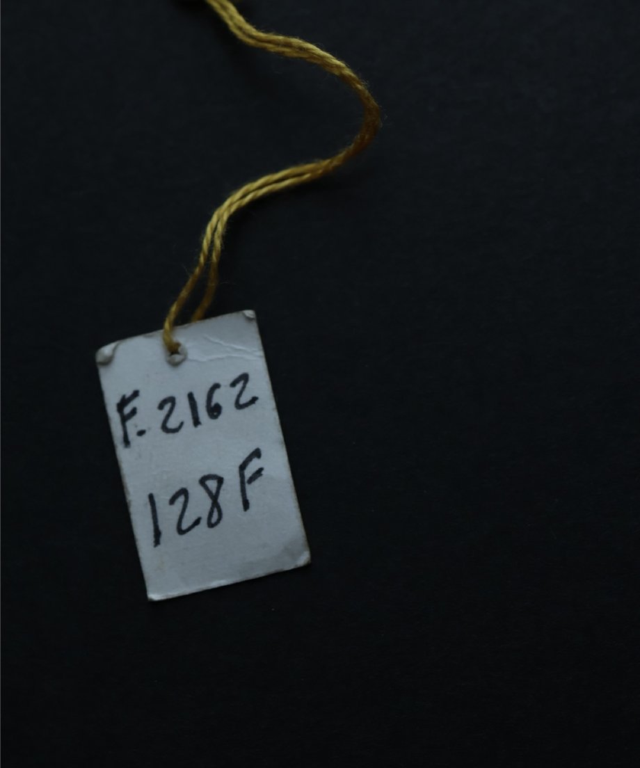 68adeae2444fad484fb67dd0