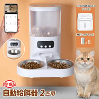 自動給餌器 自動給餌器 猫 2匹 自動餌やり機