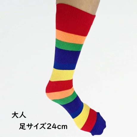 【送料無料・サイズフリー】　レインボーソックス  (reco-h0121）