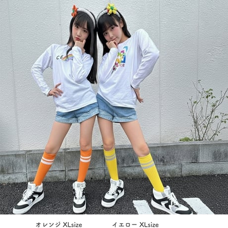【メール便送料無料】ラインハイソックス（reco-h0361）