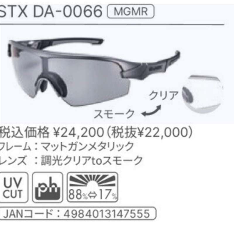 SWANSサングラス(STRIX D.A.) | AMGuardians