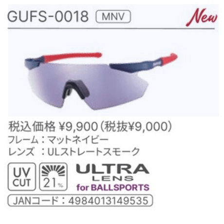 SWANSサングラス(GULLWING FLEX-S)