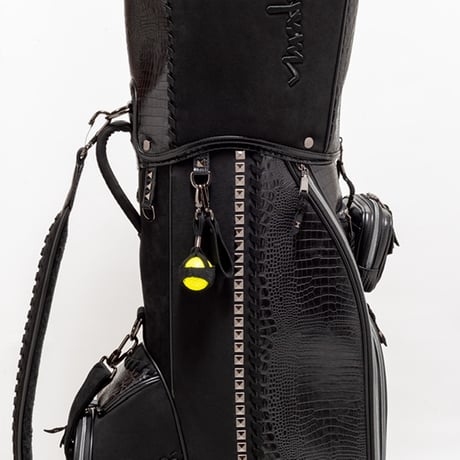 WIND WISDOM CADDIE BAG