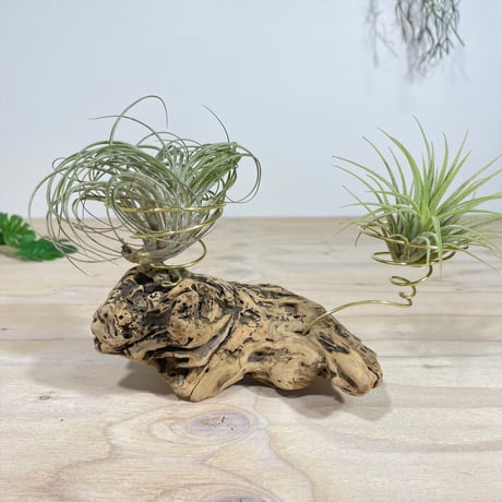 流木アート | STORES