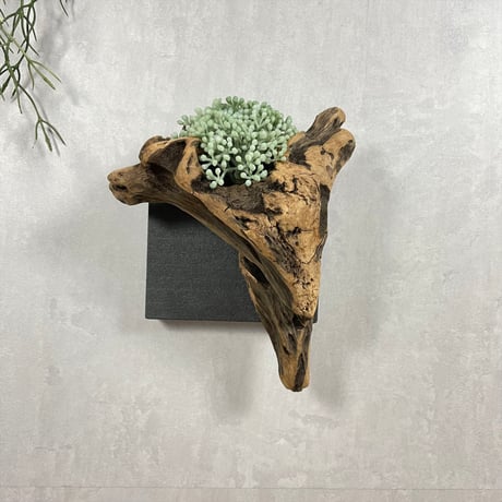 流木オブジェ | STORES
