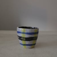 <Satoko Kako> Check Cup (D)