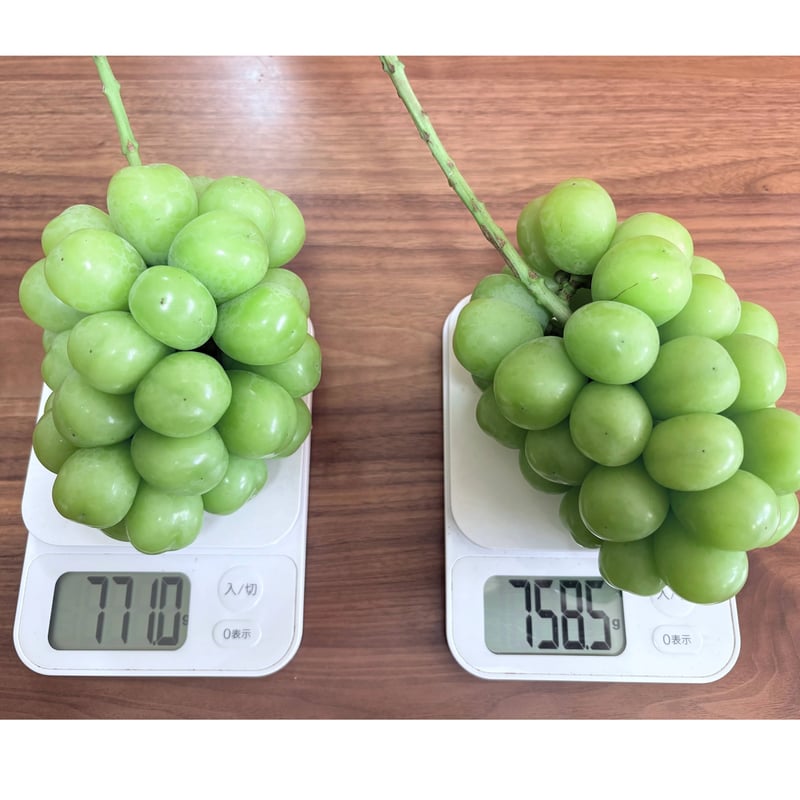1名様限定】 双子シャインマスカット 1組：約1.5kg | ぶどうのにし