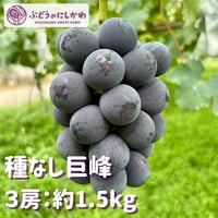 お得用】 種なし巨峰 5房：約1.8kg | ぶどうのにしかわオンラインショップ