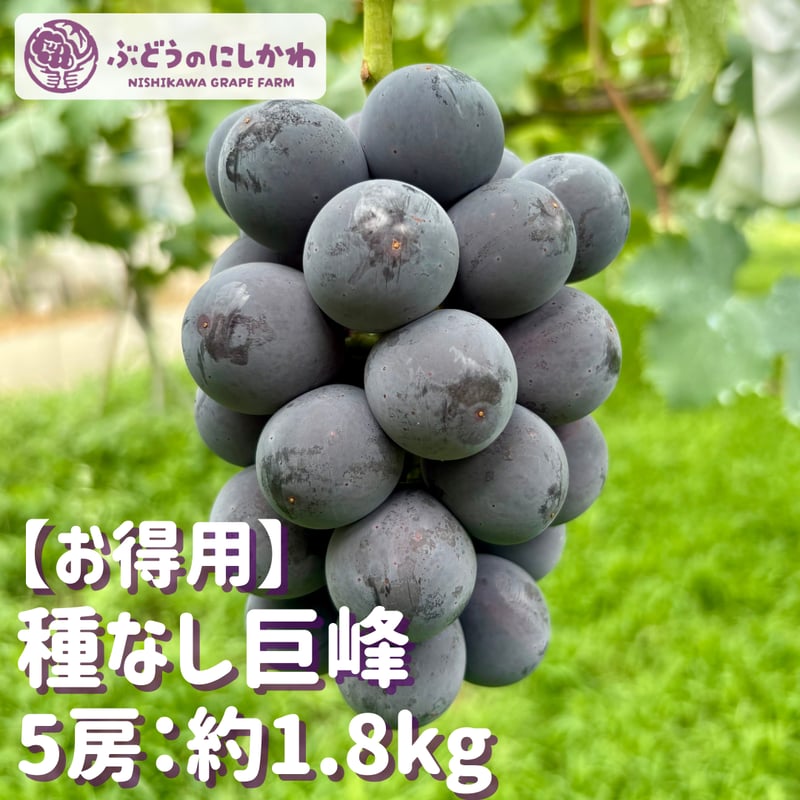 自家製ブドウ お得用】 種なし巨峰 5房：約1.8kg | ぶどうのにしかわオンラインショップ